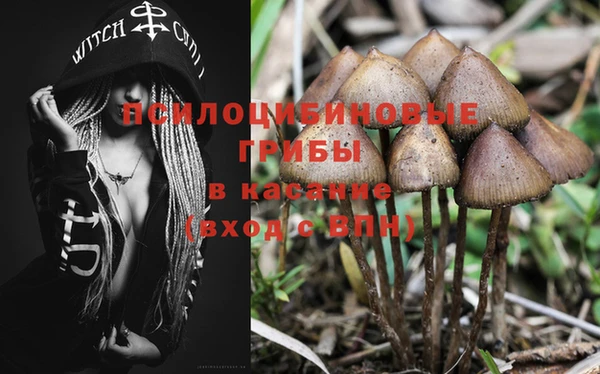 спиды Пестово