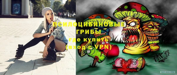 тгк Переславль-Залесский