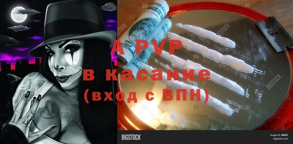 герыч Пересвет