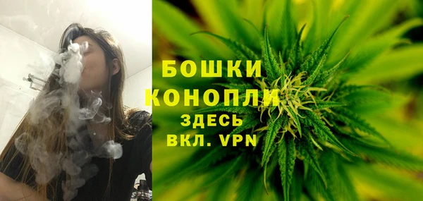 спиды Пестово