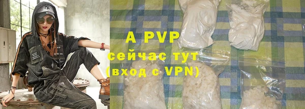спиды Пестово