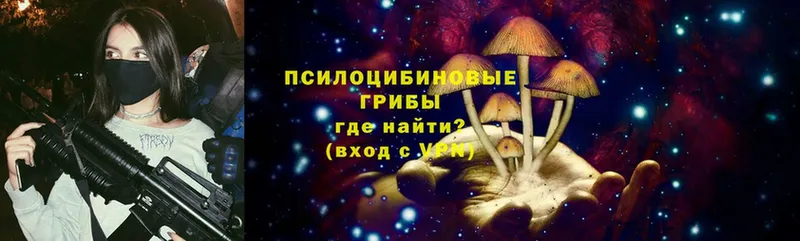 где найти   Энем  Галлюциногенные грибы Cubensis 